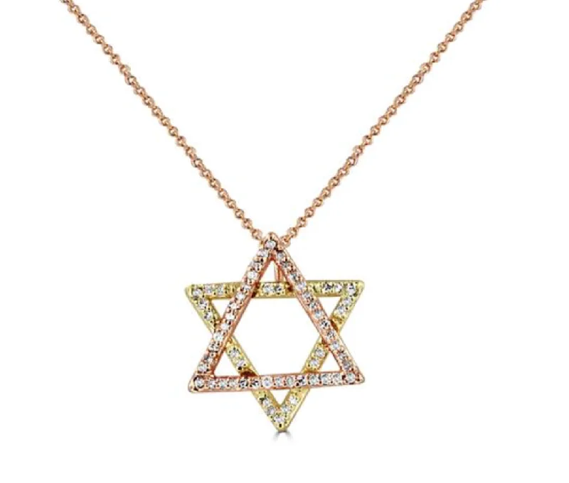 Fine Pendant Necklaces-14K Two-Tone Star of David Necklace